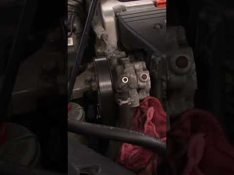 How to fix a power steering noise for under $10.00 #shortsvideo #automobile #shortvideo #mechanic