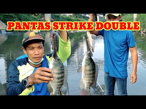 PANTAS STRIKE DOUBLE TERNYATA BEGINI CARANYA || MANCING NILA BABON