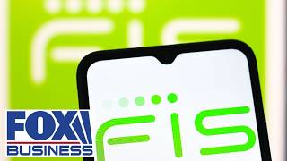 This industry has A LOT of M&A in it: FIS CEO