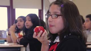 CPS Summer Meals Programs