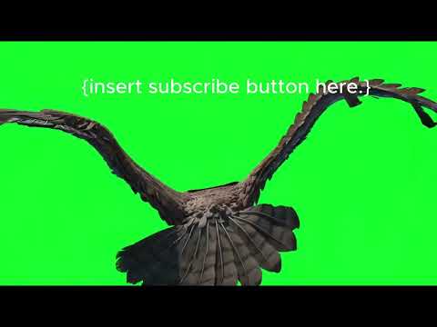 Totally not getting less than 10 misses on TT chomastered 🙃 | FNP