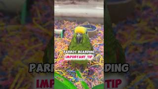 Important Parrot Boarding Tip