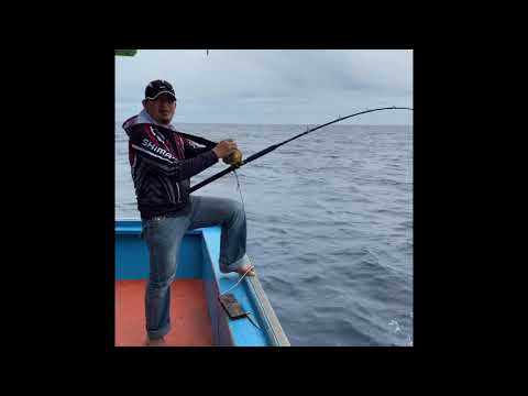 PENN INTERNATIONAL 12t strike Red Snapper