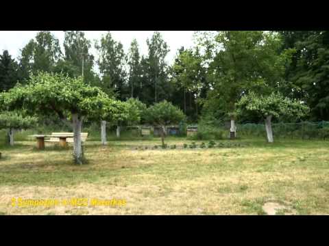 2 "Sympozjon w Mazurkasie"-otwarcie,projekcja filmu-"Alojzy Balcerzak- obrazy pełne powietrza"