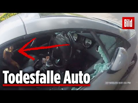 Polizist rettet Hund aus Hitzehölle!