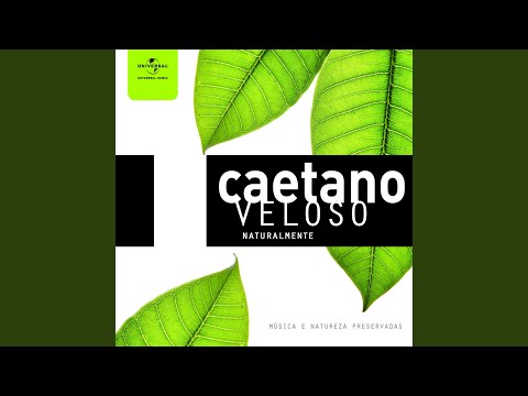 Samba De Verão のサムネイル