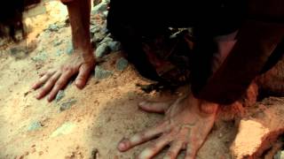 Galcats - Dream Alive (Official Video)