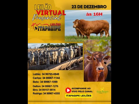 LEILÃO VIRTUAL  - ITAPAGIPE LEILÕES  23/12/2025- ITAPAGIPE-MG.