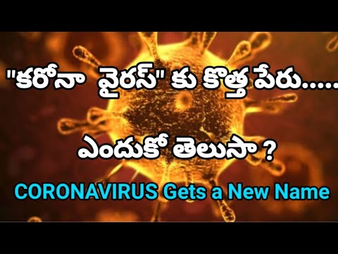 Coronavirus disease named Covid-19 || WHO reveals new name for Coronavirus : Covid-19 || SUGGEST 5