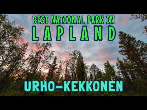 Adventure in Lapland's Urho-Kekkonen | Finland's largest National Park | Camping in Lapland's forest