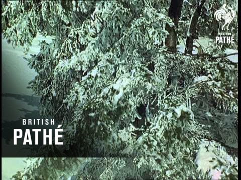 Out Takes / Cuts From Cp 655 - Czech Snow Sports  (1967)
