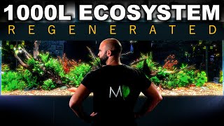 TURNING MY 8FT AQUARIUM INTO A TROPICAL PARADISE ECOSYSTEM!