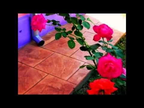 Beton Amprentat Vărzarii de Sus Tel.0761350488 Bihor,Austria,Ungaria,Serbia