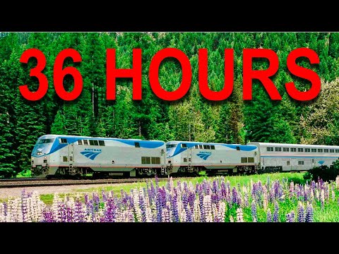 MY FIRST OVERNIGHT TRAIN | Roomette Sleeper on Amtrak's Coast Starlight