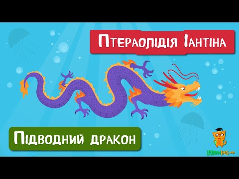 🍀 Дива природи. Явища навколо нас. Птераолідія іантіна — велетенський слимак-дракон 🌏