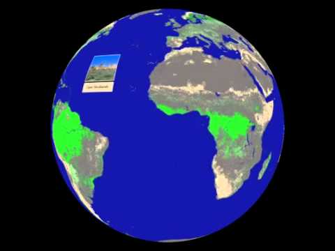 Land Cover Animation