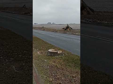 Projektowane skrzyżowanie zwykłe km 0+440,35 proj. DP nr 1375F