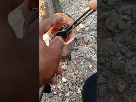 Removing frog lure is very easy from a fish / frog hook remover