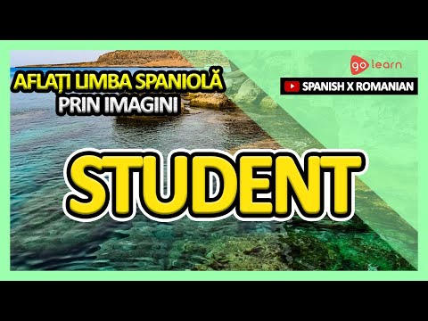 Aflați Limba Spaniolă Prin Imagini |Vocabularul Limba Spaniolă Student | Golearn