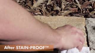 Dry Treat | Stain Proof |