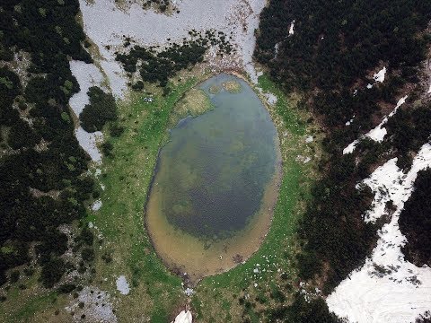 PSD "Brezovača" Hadžići - Bjelašnica - Lokvanjsko jezero 19.05.2018.