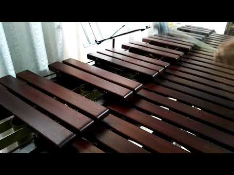 Inni di lode N°474: Cerca prima il regno di Dio Marimba Cover