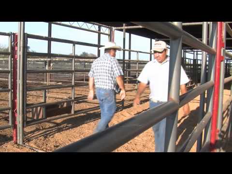 , title : 'How To Own A Bucking Bull'