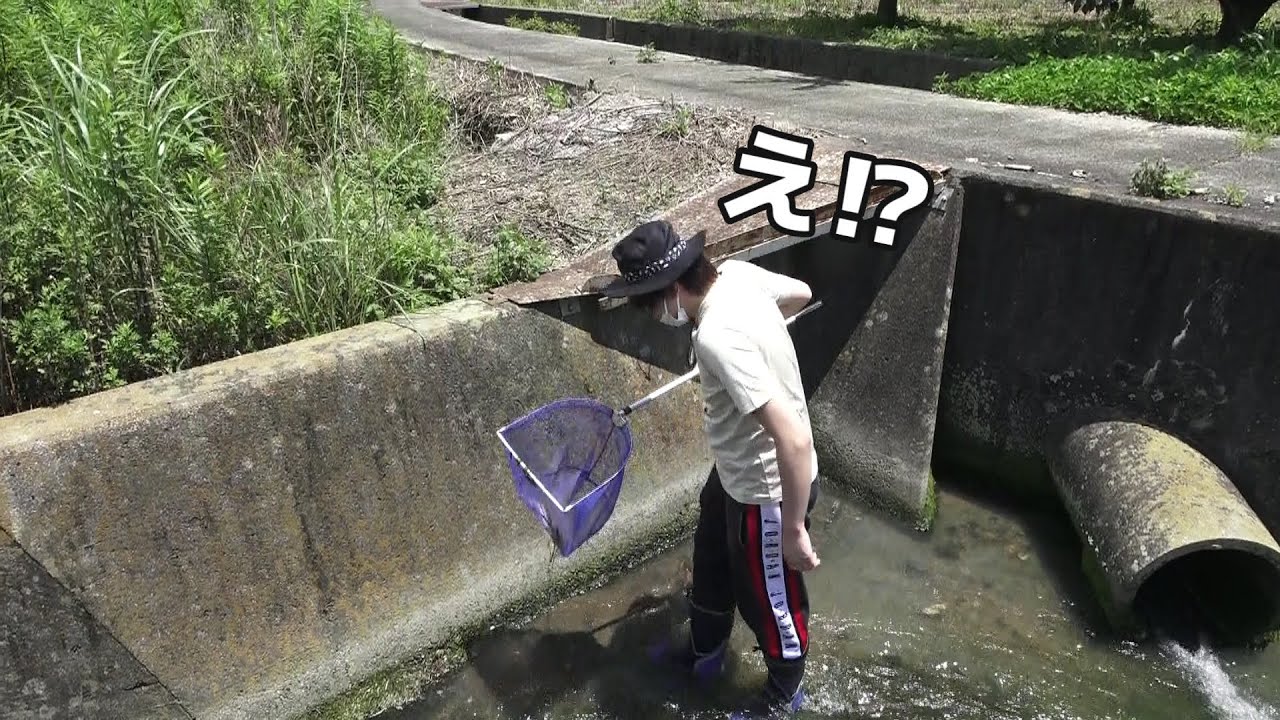 【まぶし】の餌をとりに、山奥の用水路でガサガサしたら、まさかのｗｗｗｗ