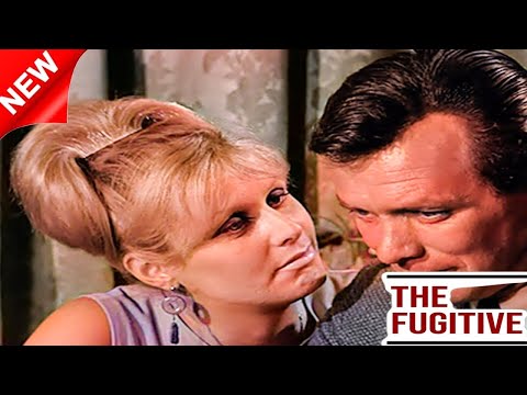 The Fugitive 2024 Full Episode  S03E7 9  All the Scared Rabbits