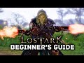 Lost Ark Beginner's Guide - Classes, Levelling, Tripod System & More!