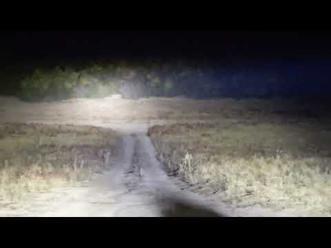 Baja Designs ONX6+ vs KC Pro6 Lightbar / Baja Designs vs Rigid Pods