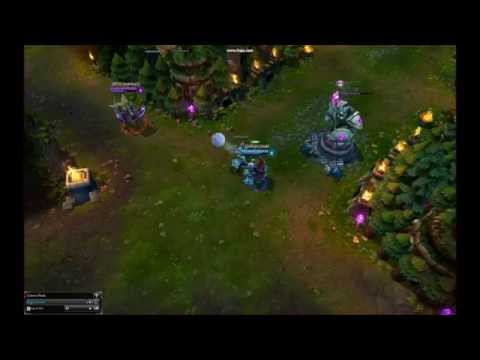 Little Ziggs Montage