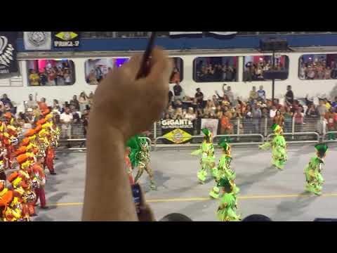 Mocidade Alegre 2019 - Bateria - Desfile Oficial