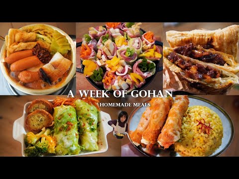 A week meals/ Hotpot days, Cylindrical lotus root potatoes, 90’s tokyo vibes room