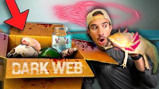 Ordering Haunted Axolotl Off The Dark Web...