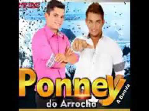ponney do arrocha - o que seria de mim