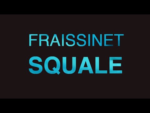 Nicolas FRAiSSiNET - SQUALE ( Live )