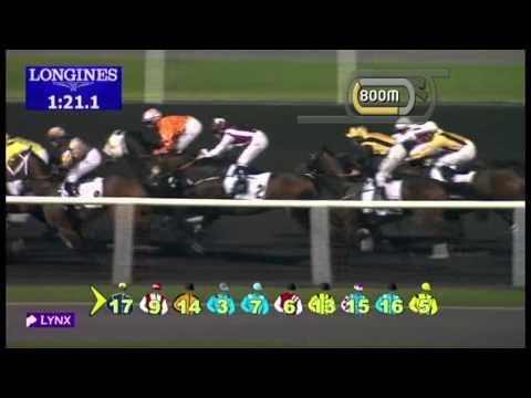 03.01.2013 Meydan (Dubai-UAE) 6.Race Bluefrog Trophy -  2.000 m
