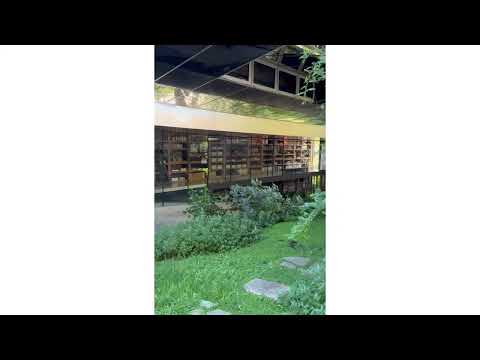 Casa Pellegrini - TAM Arquitectura