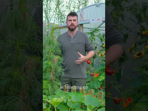 Optimize Compost Bins: Turn for Better Results!