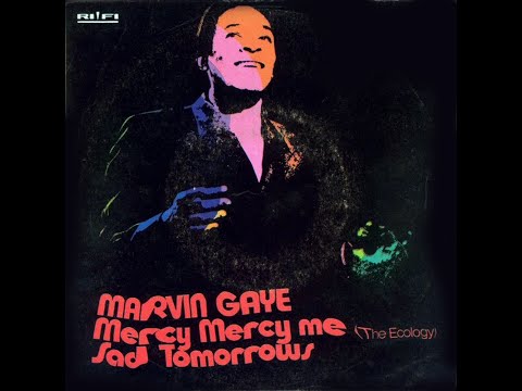 Marvin Gaye ~ Mercy Mercy Me (The Ecology) 1971 Soul Purrfection Version