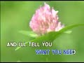Air Supply 11 Someone Who Believes In You