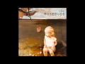 Go Ahead - The Rosebuds 