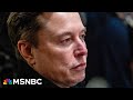 He S Been Exposed Tesla Flounders As Elon Musk Poisons The Brand