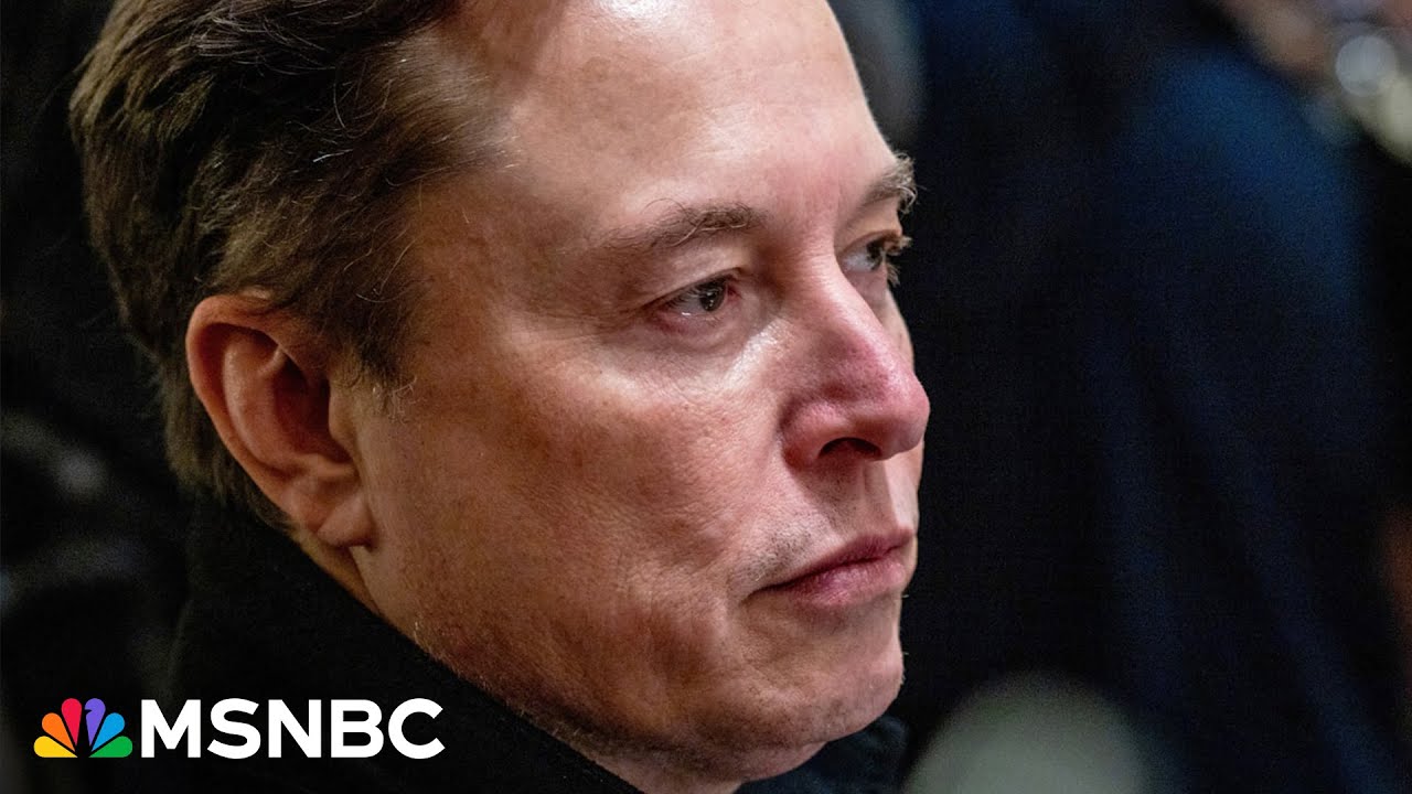 ‘He’s been exposed’: Tesla flounders as Elon Musk poisons the brand
