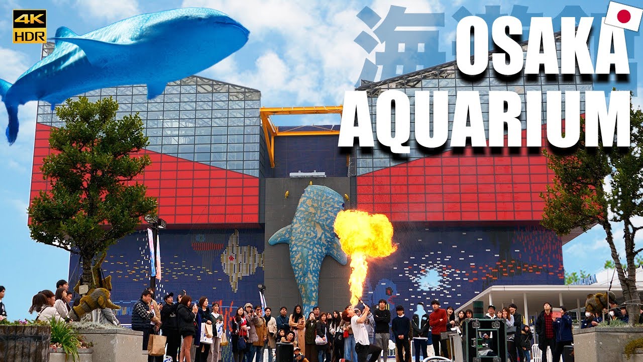 Uncover the wonders of Osaka Aquarium Kaiyukan: Your Ultimate Travel Guide!