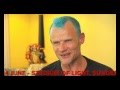 Red Hot Chili Peppers Interview - Favourite songs ...