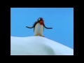 Pingu Noot Noot M83 Midnight City