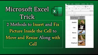 How to Insert Picture in Excel Cell | 2 Methods to Insert and Fix Photo in Excel Cell