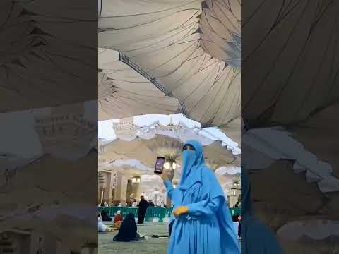 umbrellas opening #beautifulview